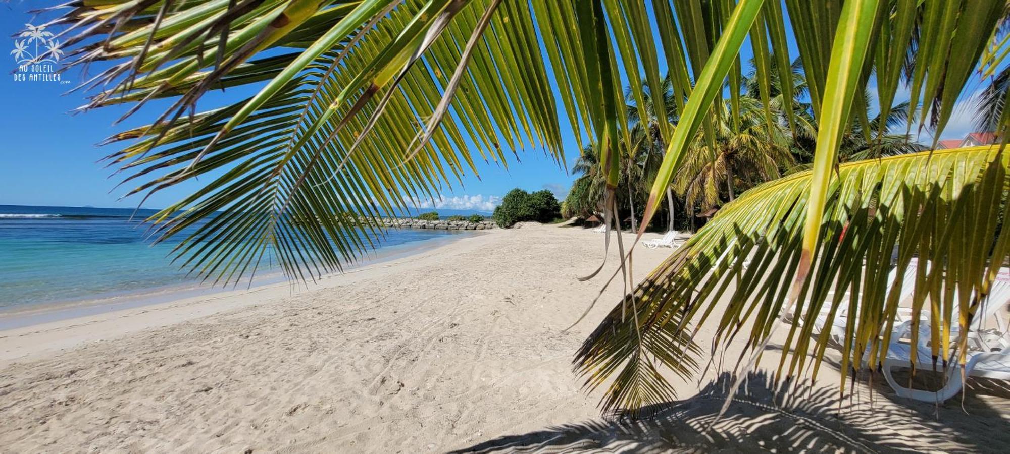 Studio Sable 2/4 Pers Face A La Mer Sainte-Anne  Luaran gambar